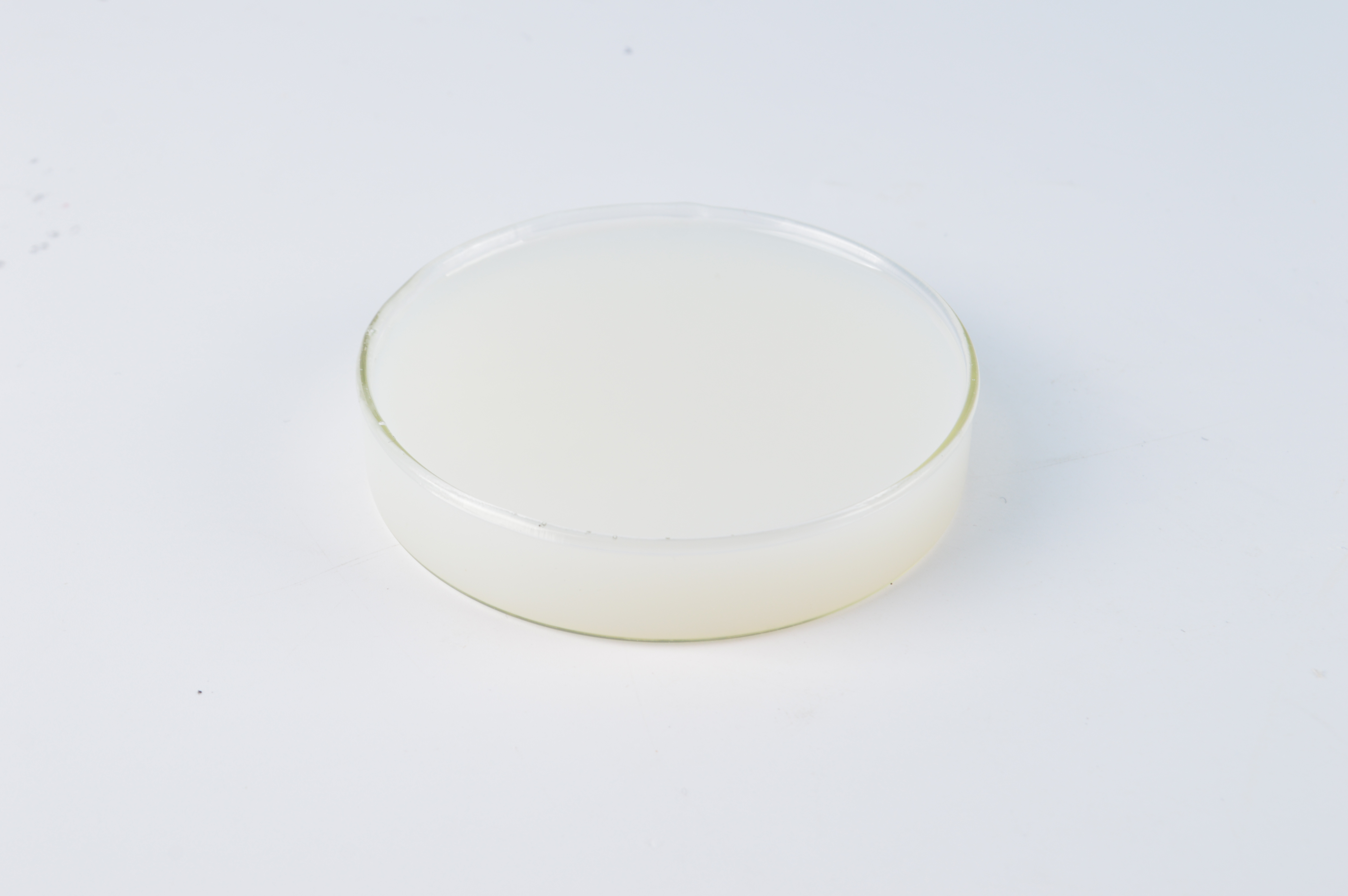 恩澤化工多彩乳液2822